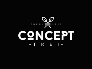 Concept TREI